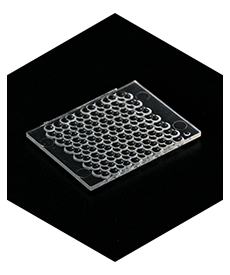 Micro Lens Array